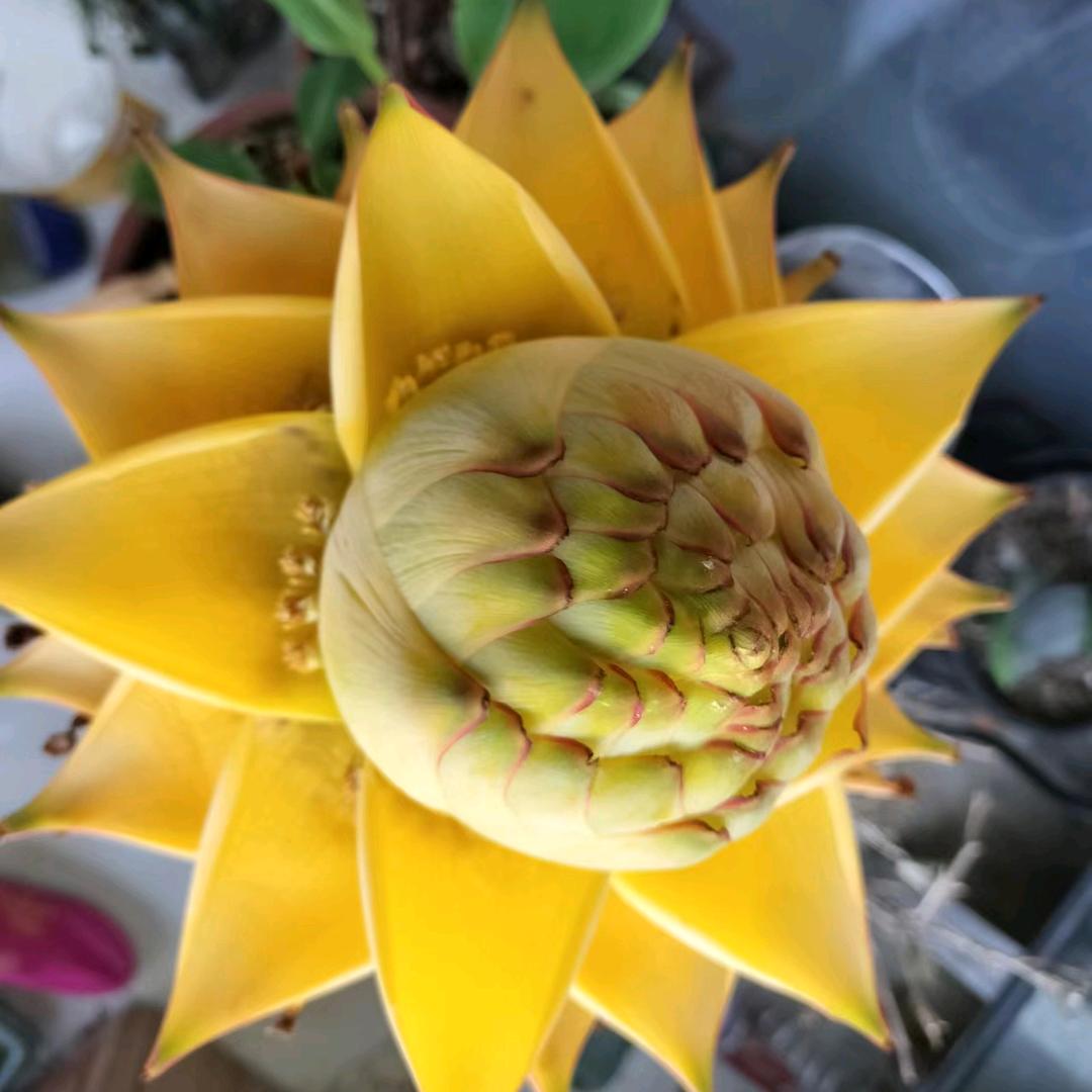 余生，请你多多指。