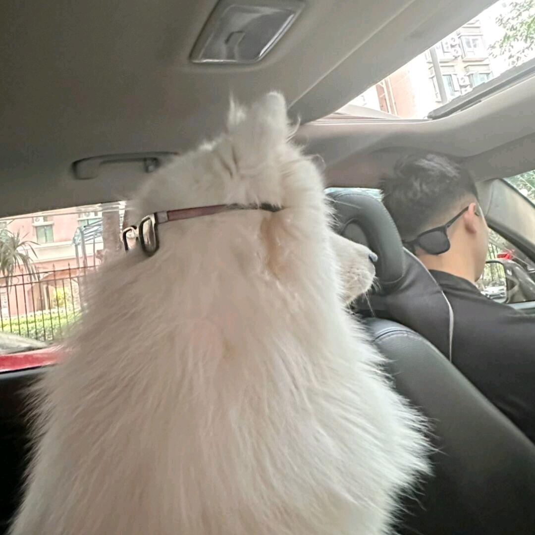 指尖烟味
