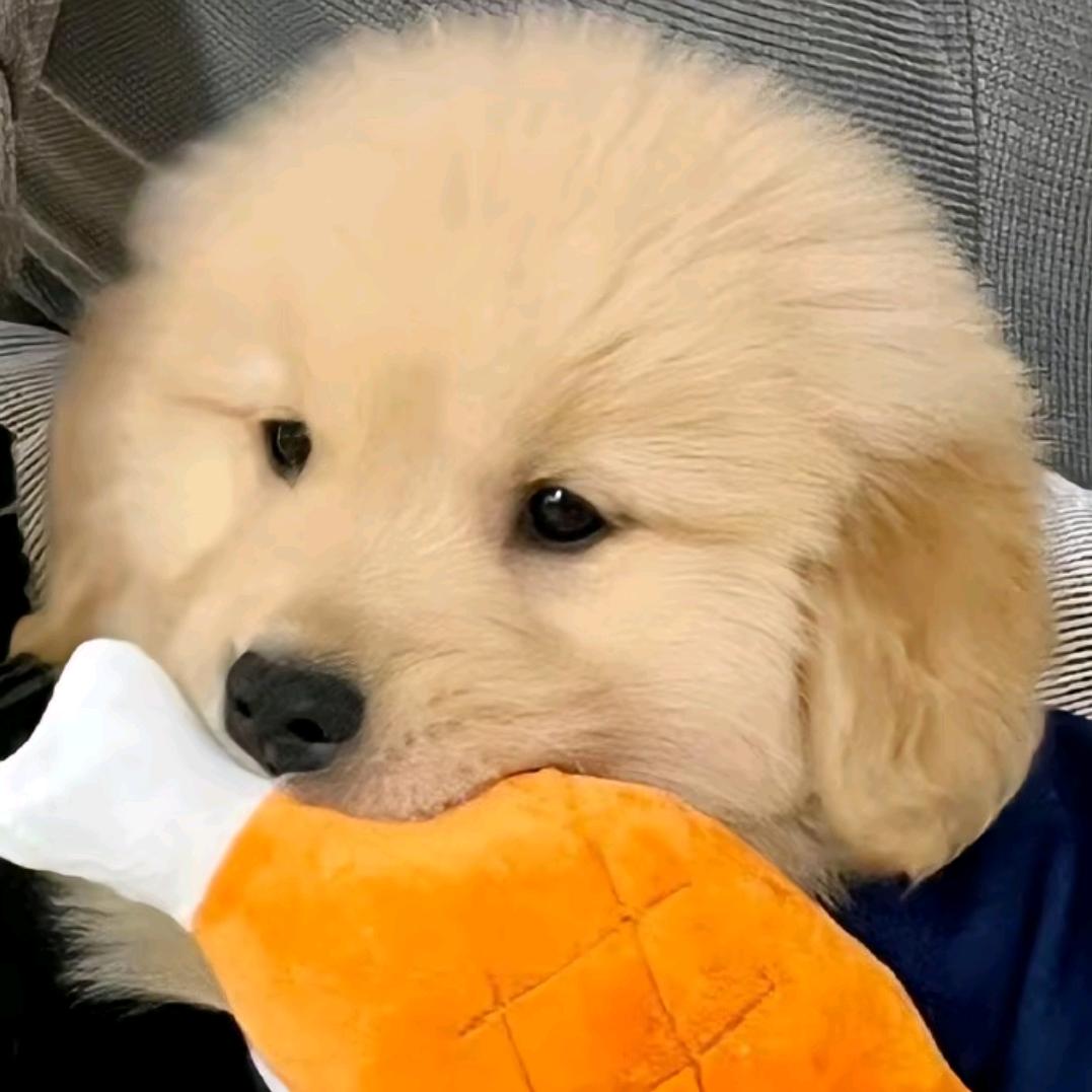 不瘦到95斤不改名！