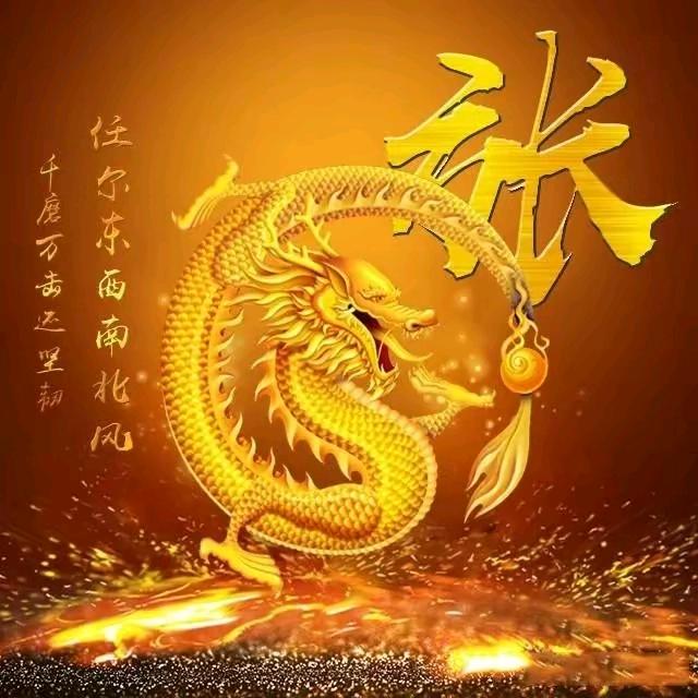 贴砖团队小张