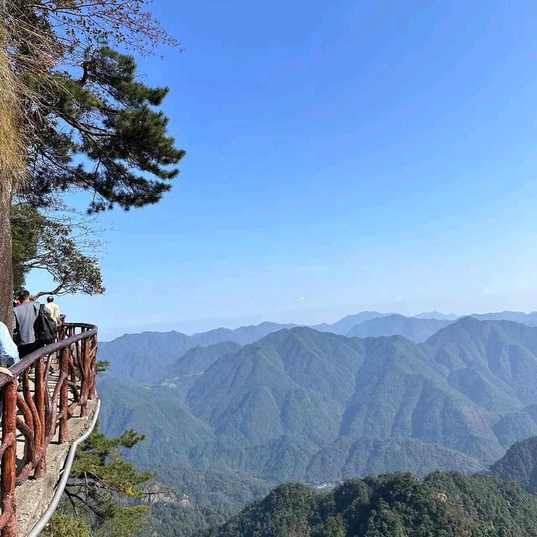 宜丰卖麻将机的燕子