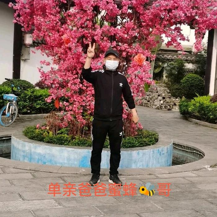 单亲爸爸蜜蜂哥绿植（寻找极品打苗）