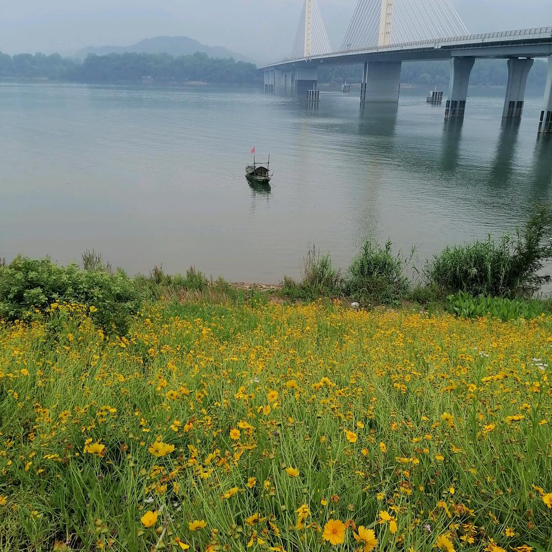 桃花源