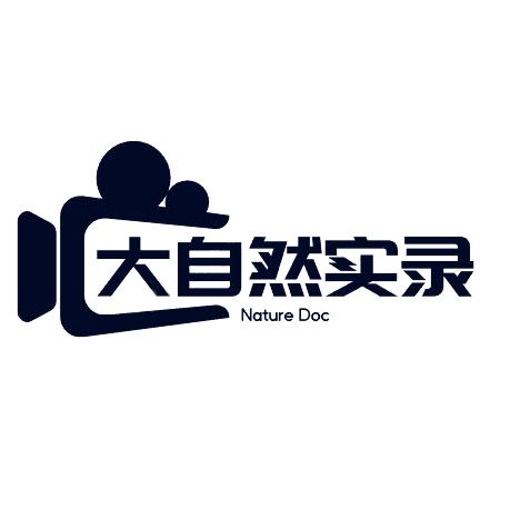 大自然实录