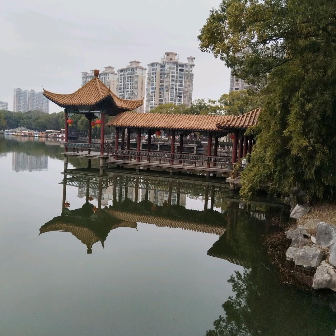梅蓝竹菊