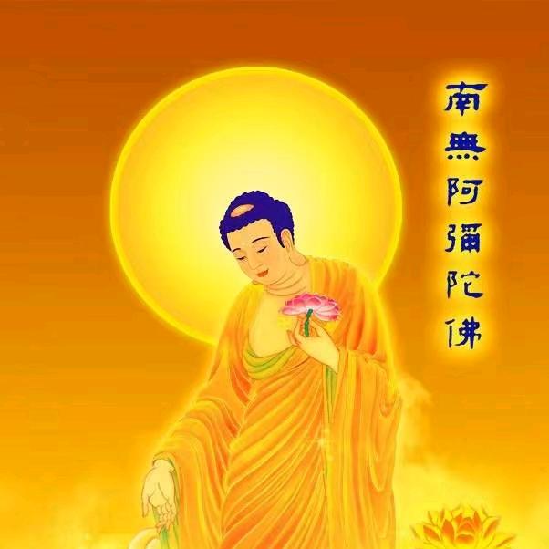 红霞（拒私聊不加微）