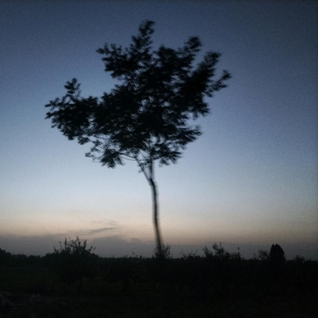 龙之吻🐯 ⁸º⁵