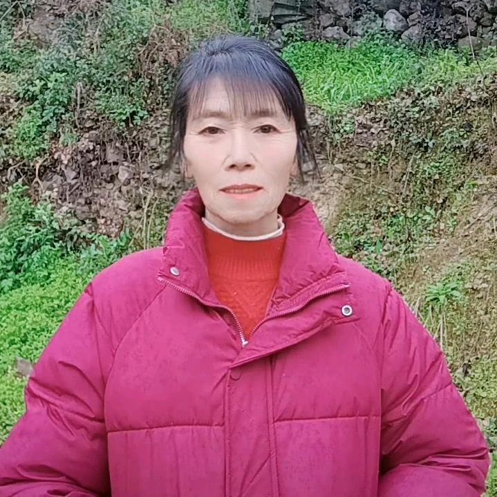 鹿鹿“::、