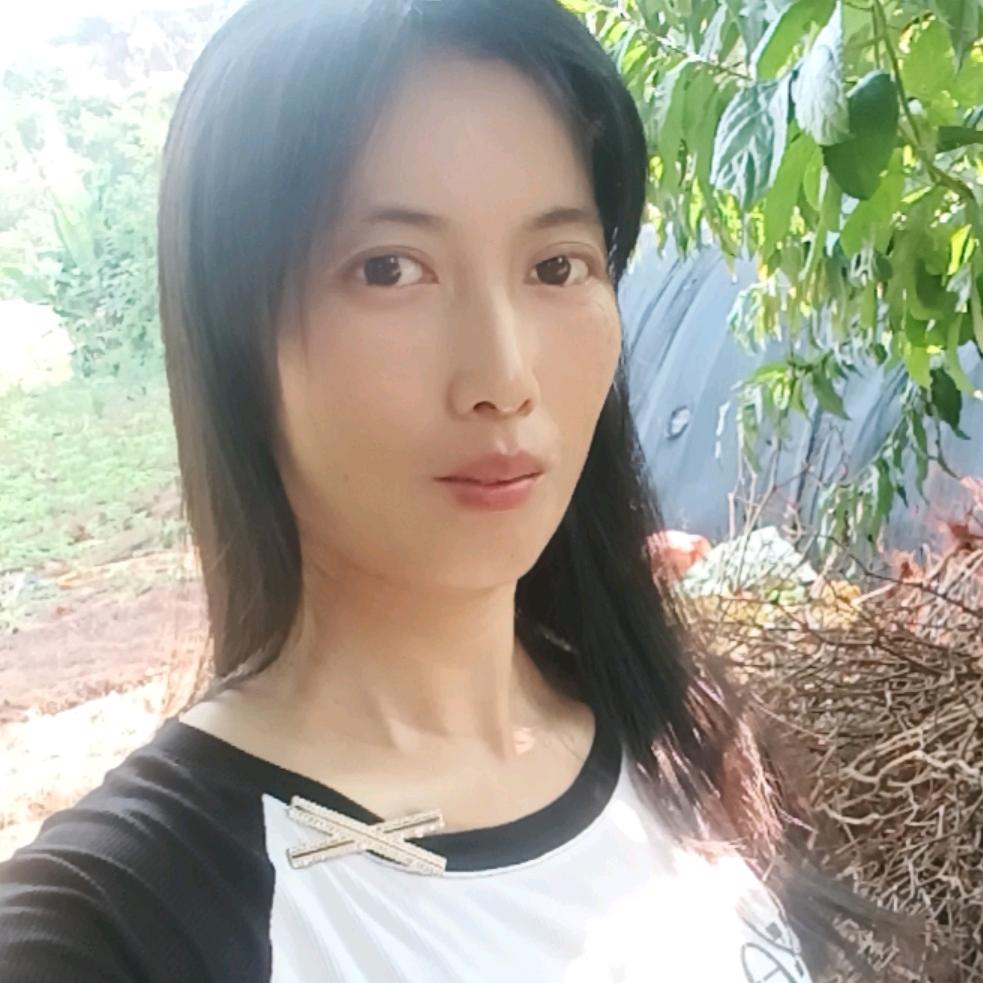 淑敏