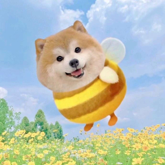 简约逗君笑