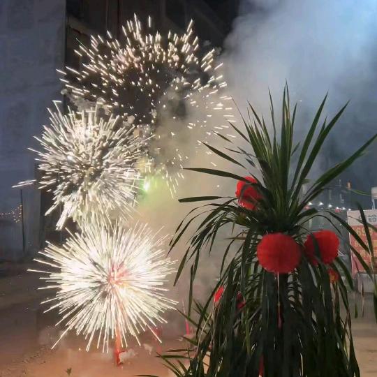 🍊不酸会甜的