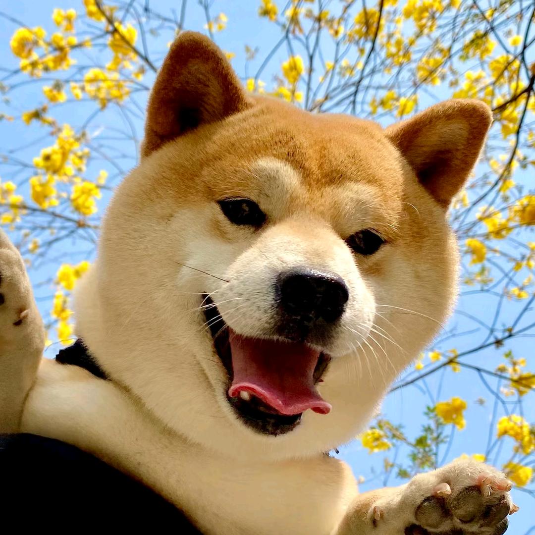 三七摄影林苑