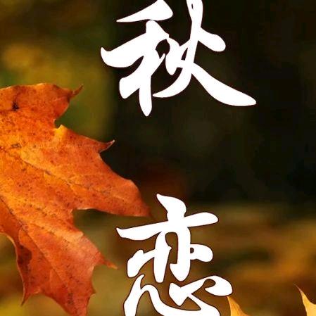 思绪……