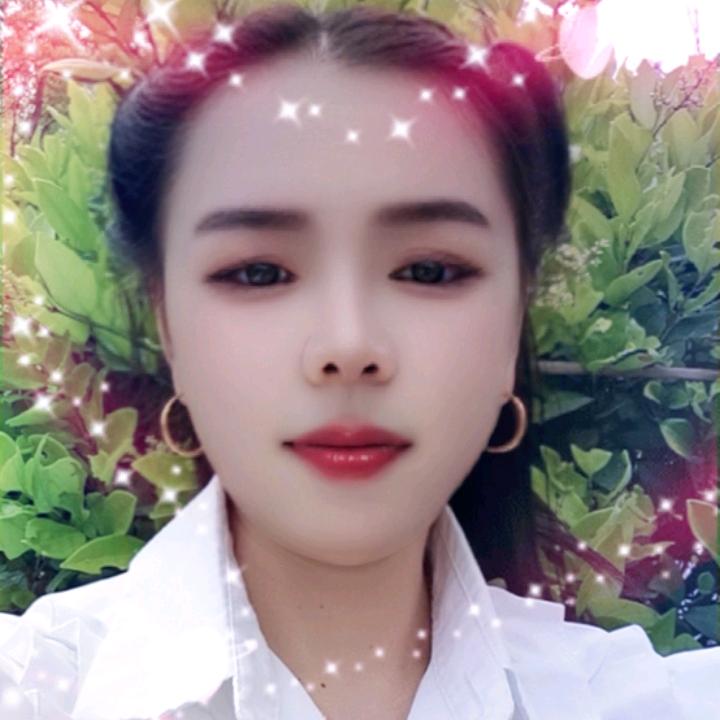 小燕子