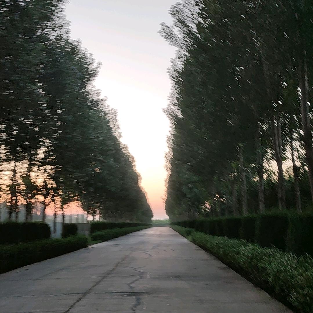*夏天*
