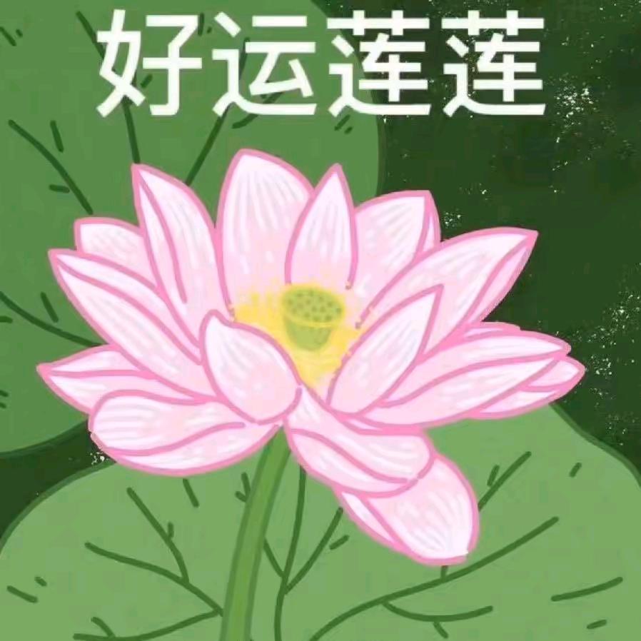 花开小福贵