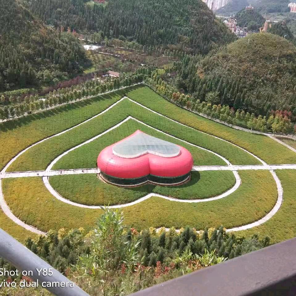 龙游四海