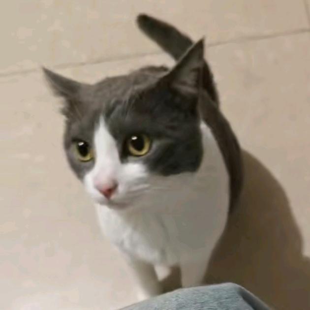 ღ豆ོᝰᩚ包᭄