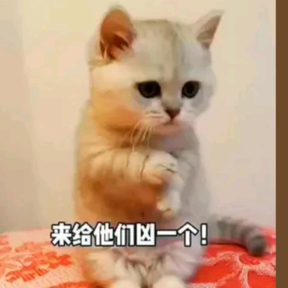 忙中求闲