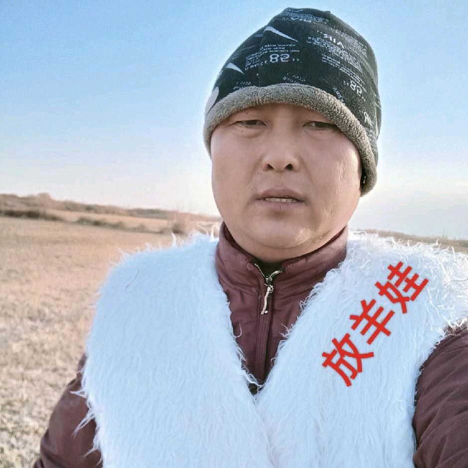 金塔放羊娃农业