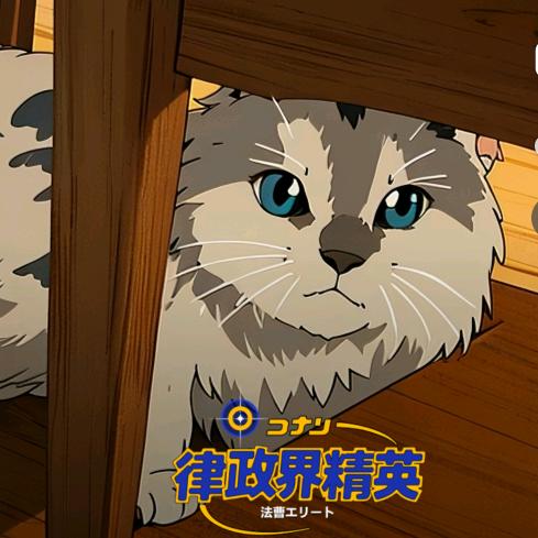 毅
