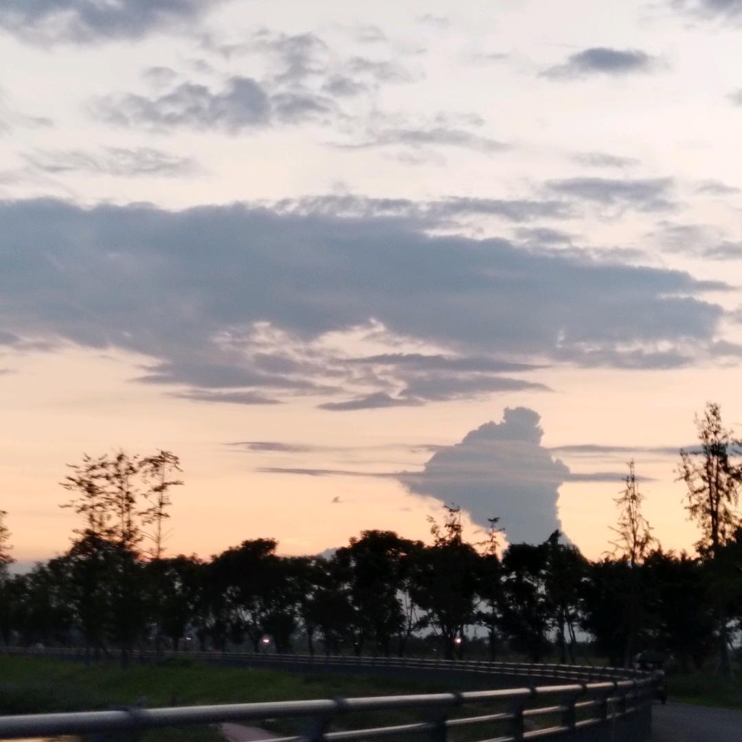 榴莲糖（橱窗有好物）