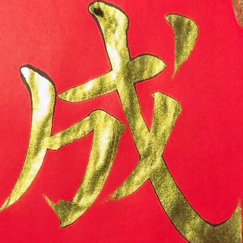 丁成 资源再利用（河北沧州）