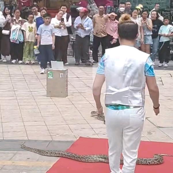 励志五哥