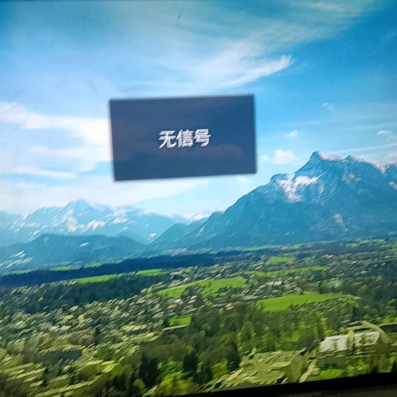 玫瑰人生