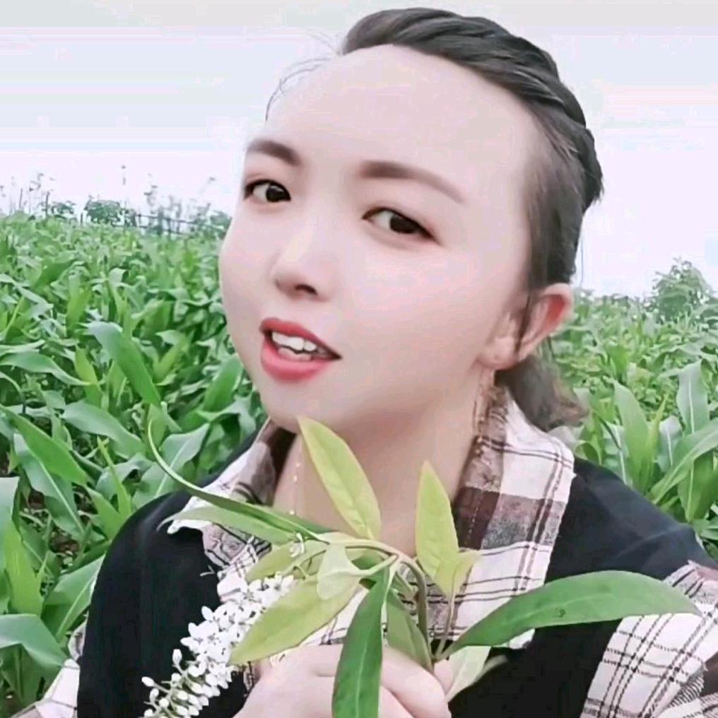牛羊妹