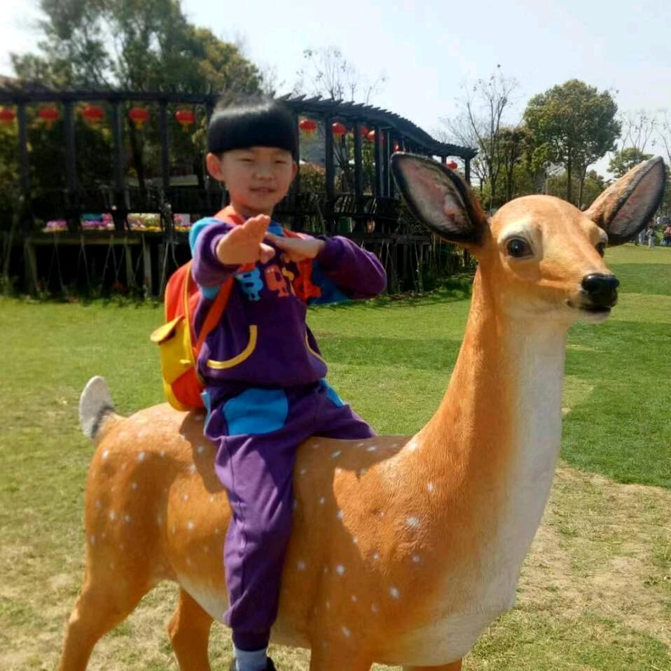 飞哥