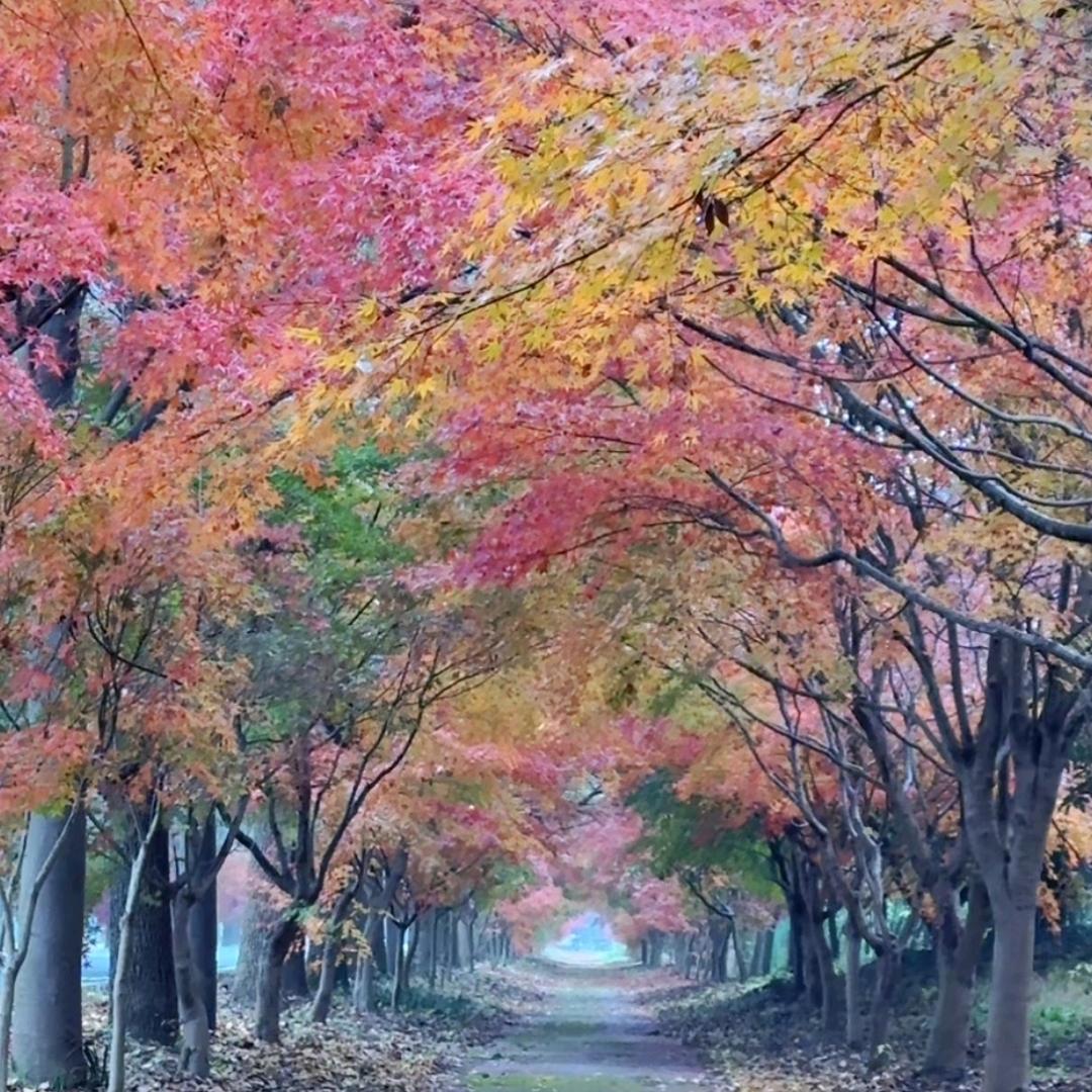 甜蜜复仇许峰头像