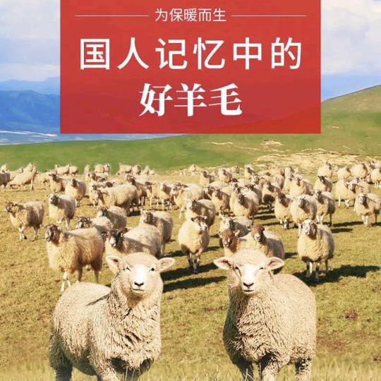 优易思羊毛制品