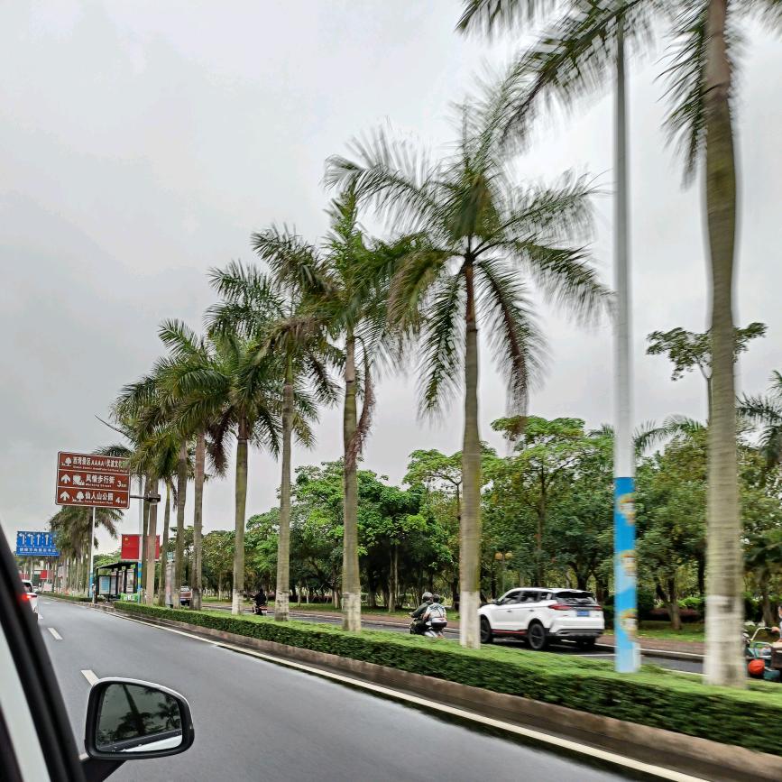 盧我所愿
