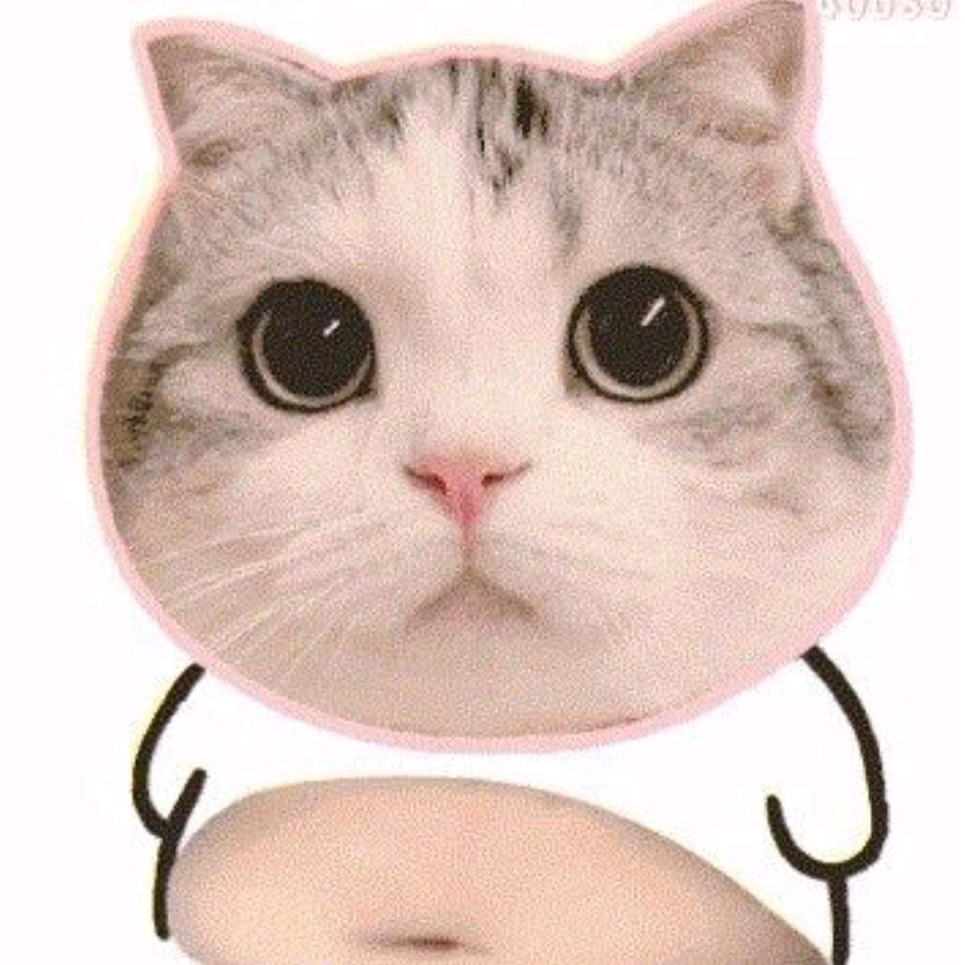 王者荣耀小猫单挑主播