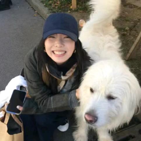 苹果你个不爽爽