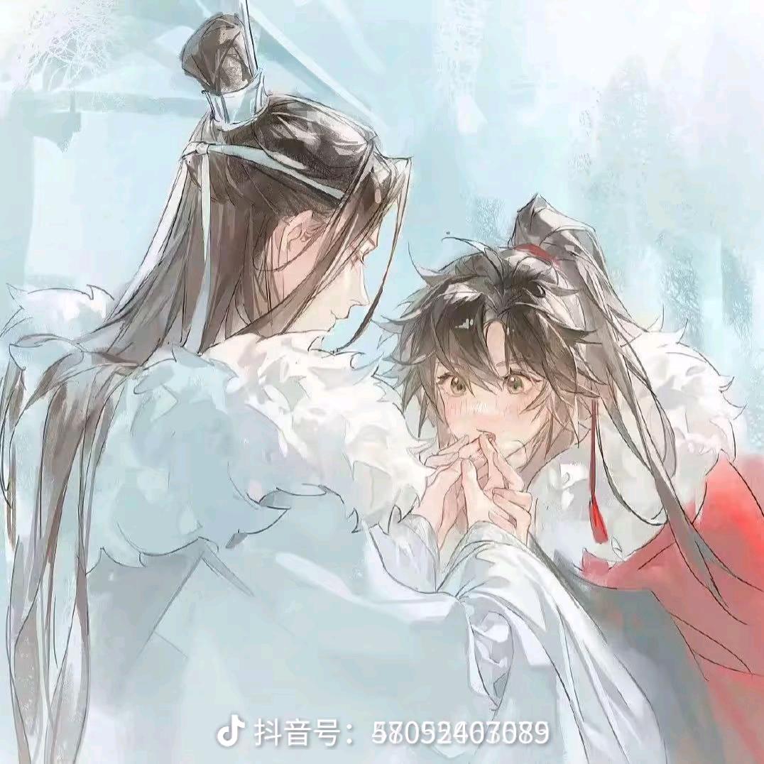 忘羡（已有龟）