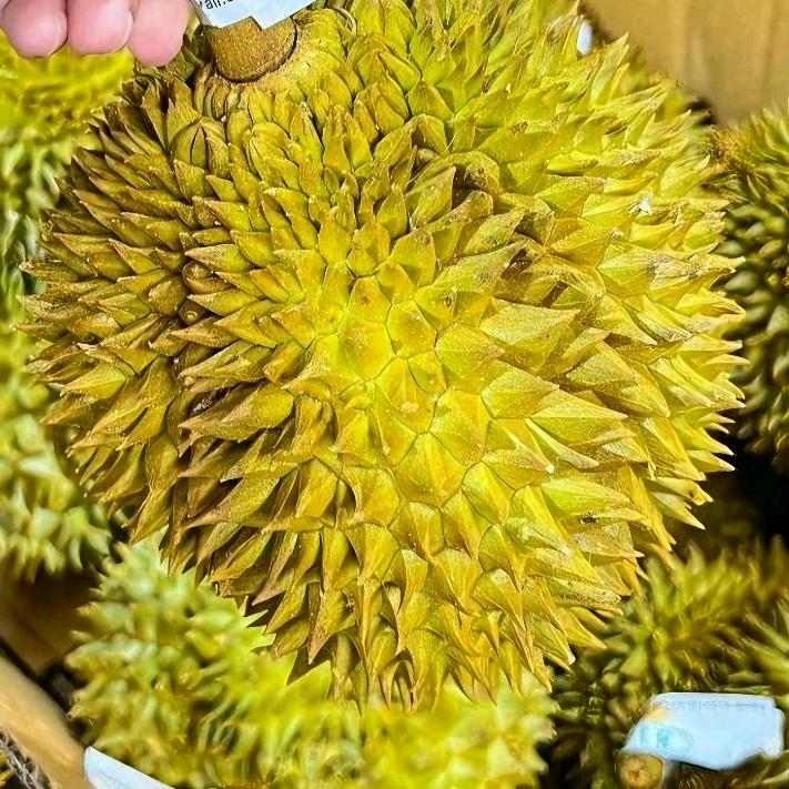 金大豪上海特色食品屋