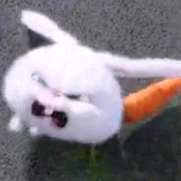 甜片炖小瓜