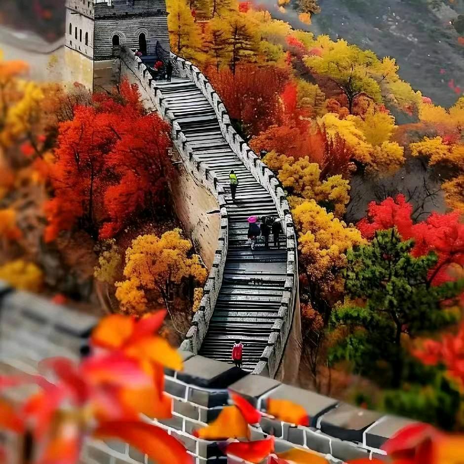 威