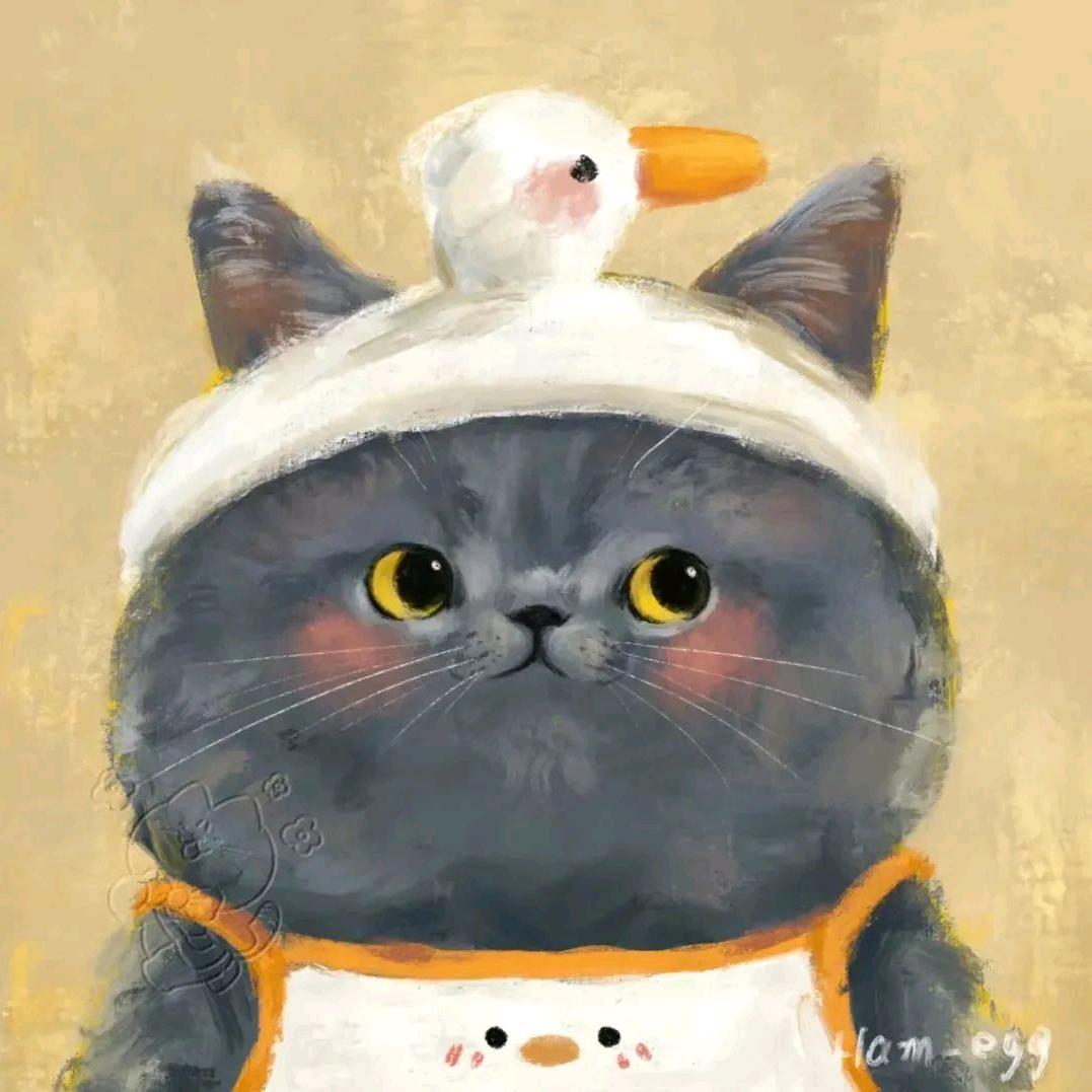 宝妈也会做投资