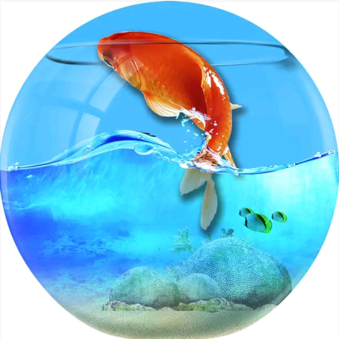 鱼乐乐水族用品厂家