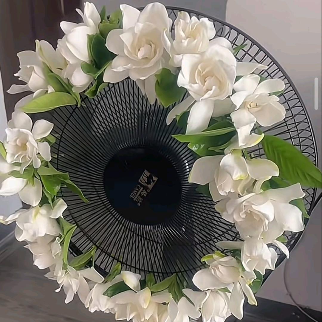 陈大师