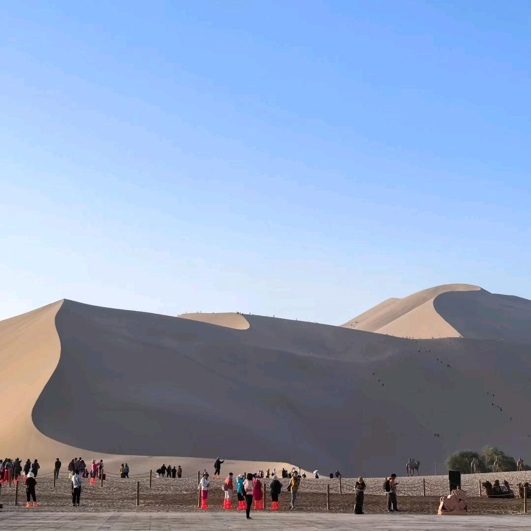 杨海