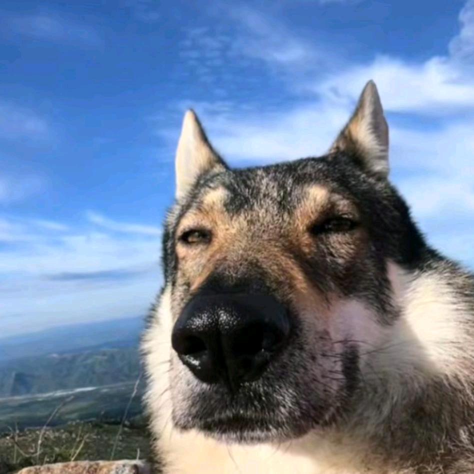 不听说唱我就没事干