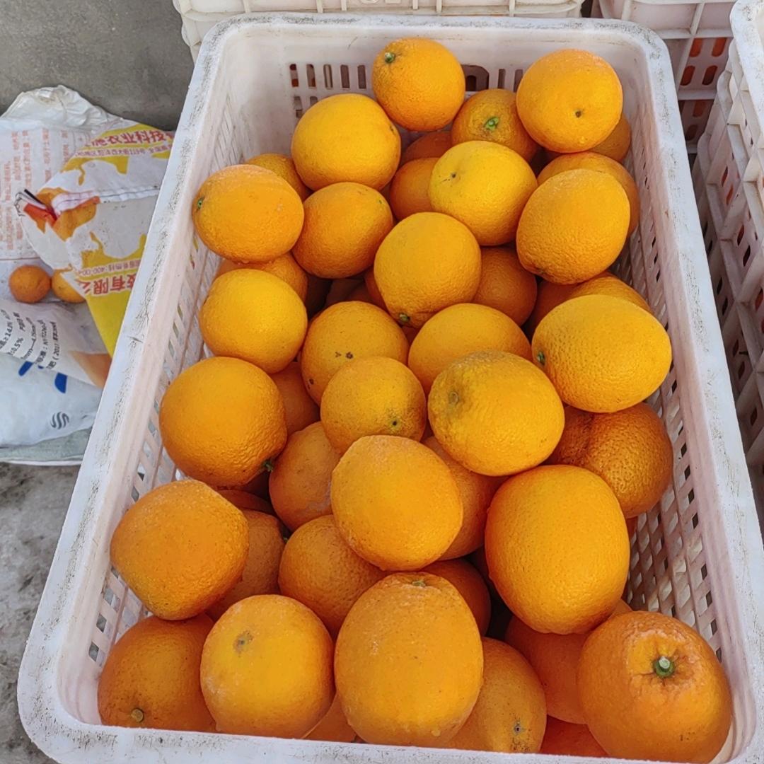 金堂县往来水果店