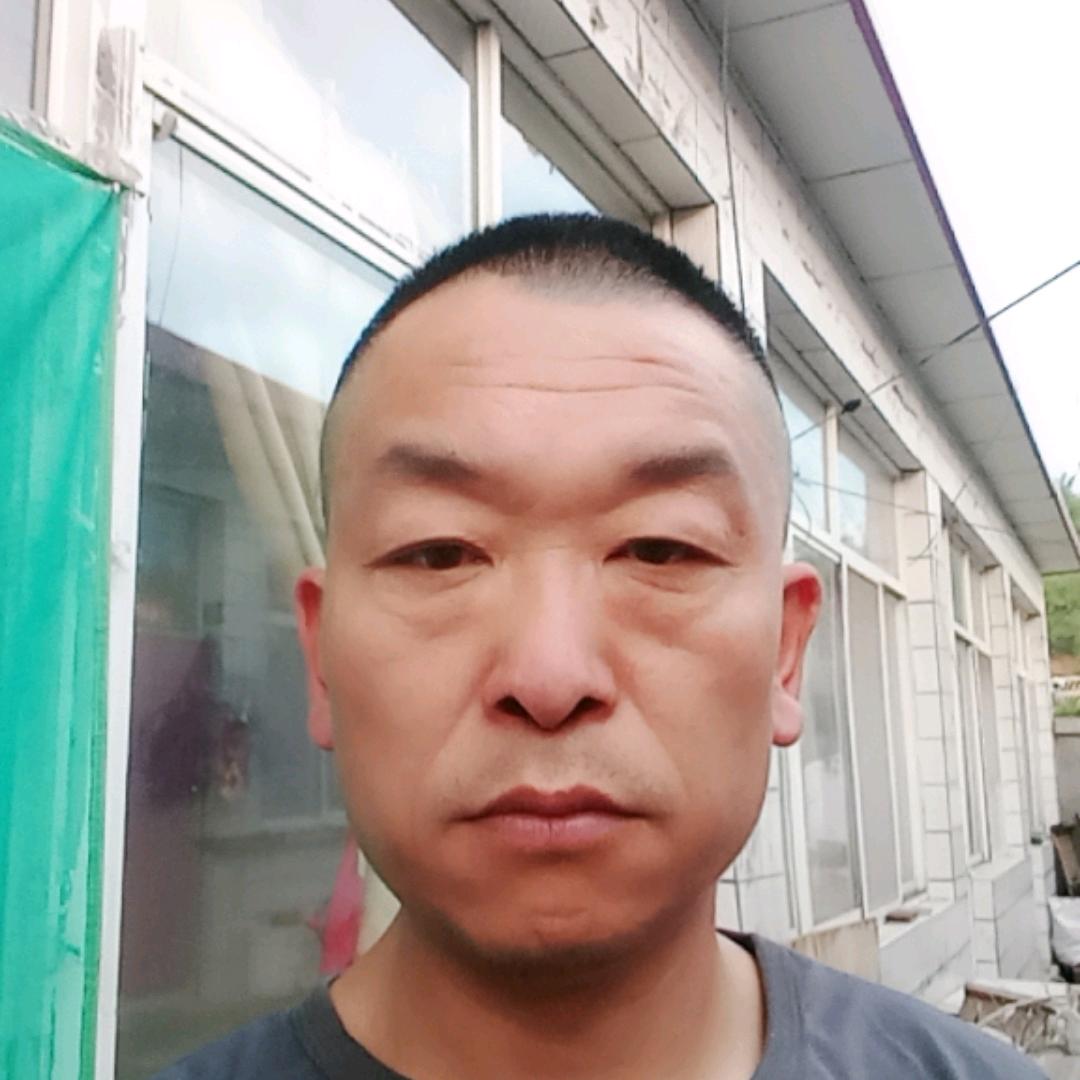 鲍，志向伟大 12345