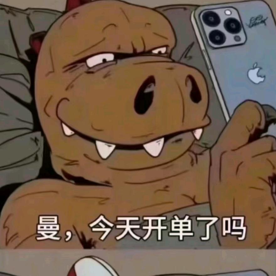 重生之我是货代小白直播带客户打游戏