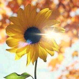 世界万般皆美好，拒私聊！