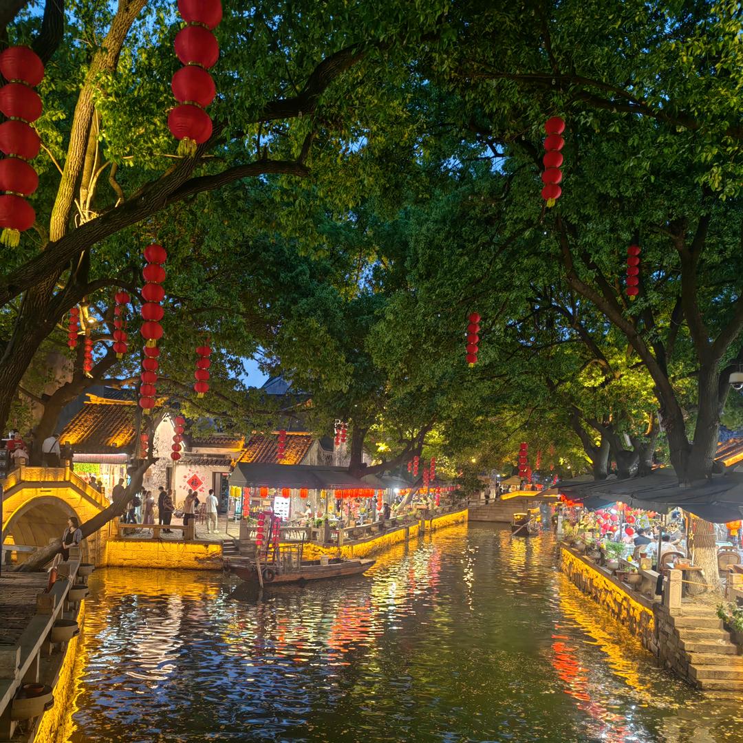 樱花飞舞
